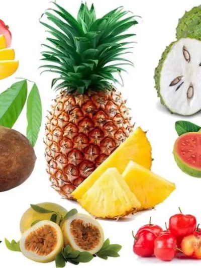 Alimentos
